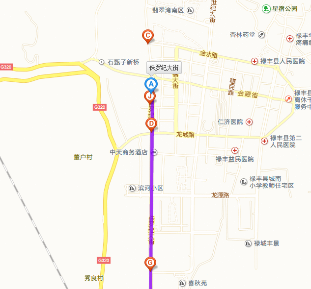 使这条新建不久的道路成为了禄丰城内最具标志性的街道,被禄丰人称之