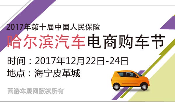 2017年第十届中国人民保险哈尔滨汽车电商购车节 (2).jpg
