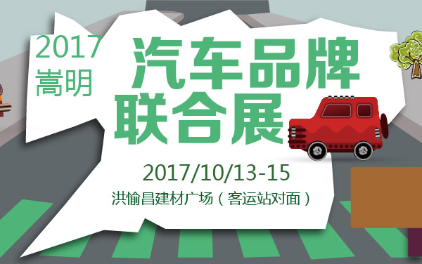 2017嵩明汽车品牌联合展 (2).jpg
