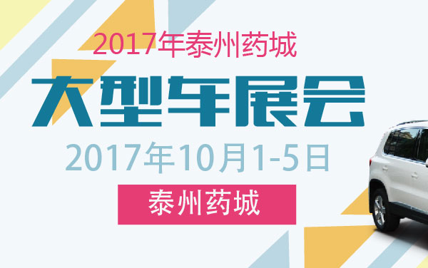 2017年泰州药城大型车展会 (2).jpg