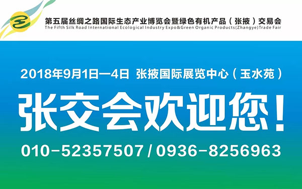 张掖玉水苑车展即将到来 这几款车千万不能错过