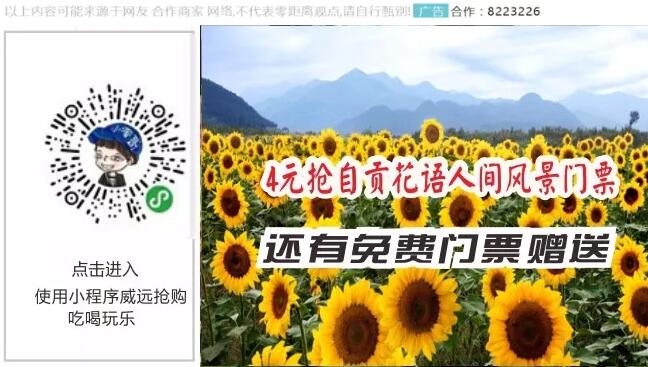内江车展