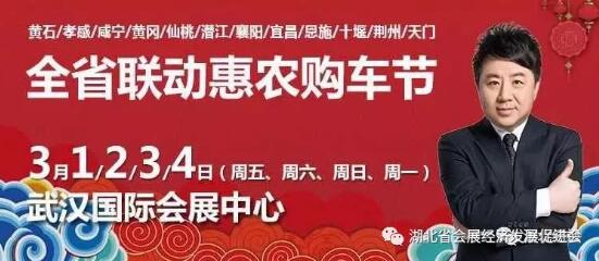 武汉车展