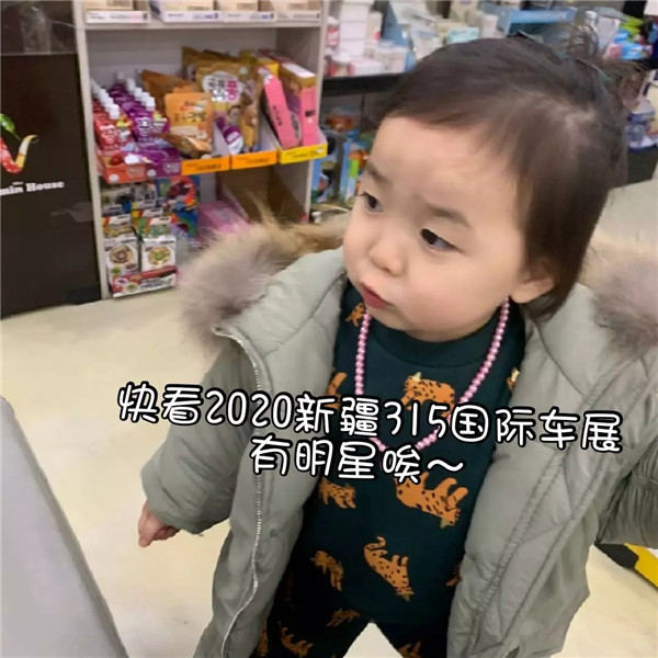 乌鲁木齐车展