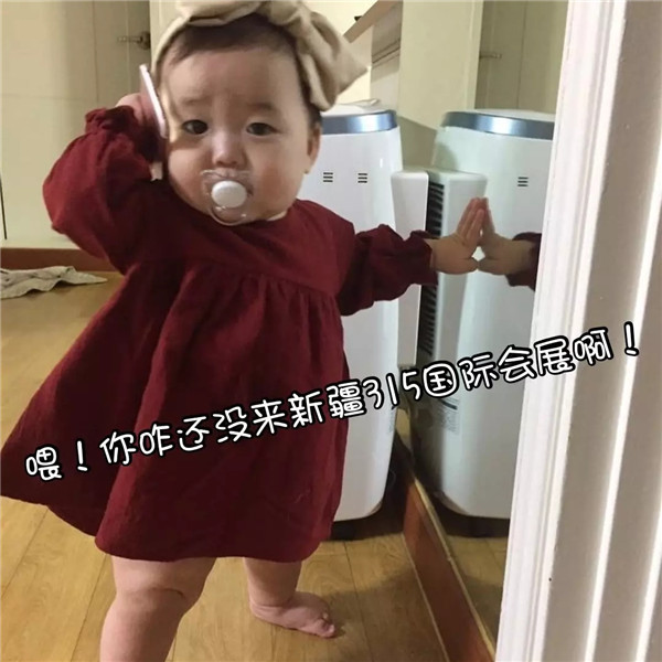 乌鲁木齐车展